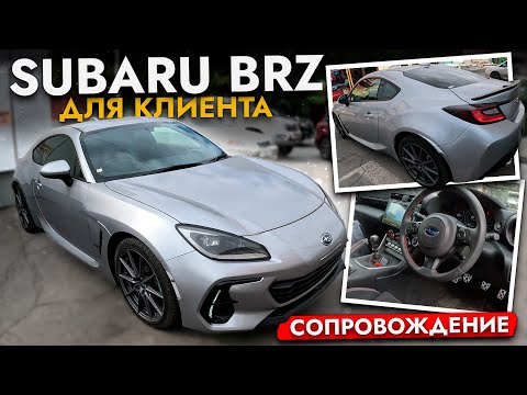 Видео: Subaru BRZ - Купили для клиента СПОРТ КУПЕ из Японии❗️ Обзор НОВИНКИ, ЦЕНЫ на авто и обслуживание