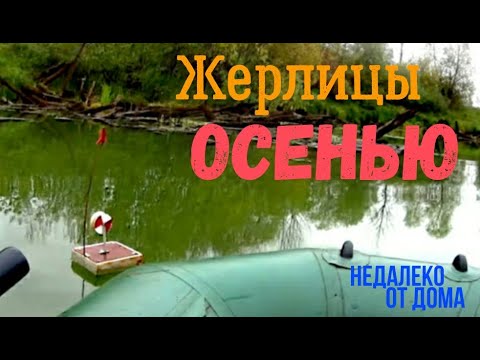 Видео: Так много сработок! Должно быть там много рыбы! Но..! Эх, если бы не это ,,Но,,! Жерлицы.