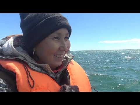 Видео: Вышли в море за камбалой..