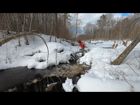 Видео: Зима. Проверяю 3 бобровые плотины. Попал в снежный плен.