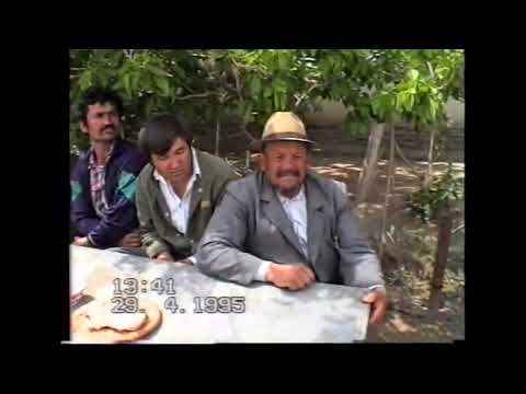 Видео: 1995- ЙИЛ АРХИВ ТУЙ  БУНДАЙ ТУЙЛАРНИ КУРГИНГИЗ КЕЛАВЕРАДИ...