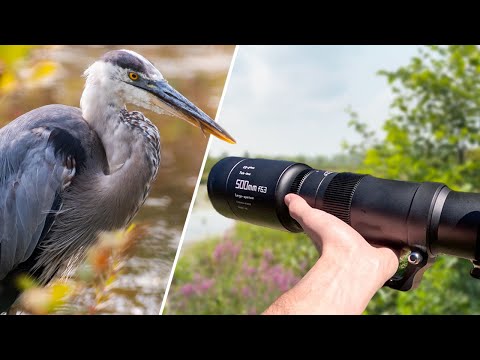 Видео: Обзор и испытание дикой природы TTArtisan 500mm f6.3