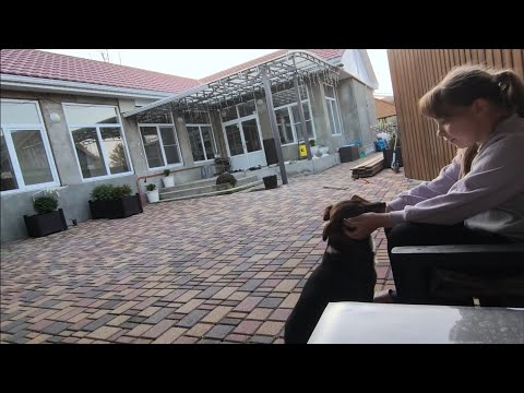 Видео: 8 ноября 2025 г.