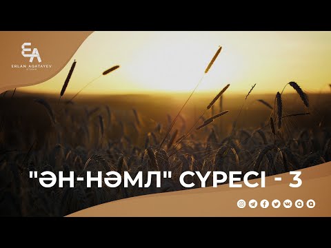 Видео: "ән-Нәмл" сүресі - 3 | Ұстаз Ерлан Ақатаев ᴴᴰ