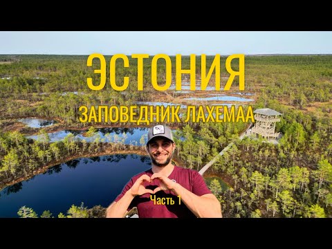 Видео: 📍ЭСТОНИЯ - не только Таллинн. Природа Лахемаа: болота Виру Раба, леса, Кясму и Алтья, мызы в Эстонии