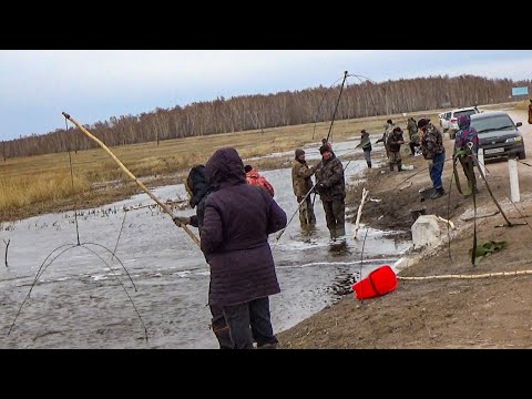 Видео: ТОННЫ РЫБЫ В ЛУЖЕ прямо у ДОРОГИ!!! Рыбалка на ПАУК ПОДЪЕМНИК ВЕСНОЙ. Рыбалка на паук