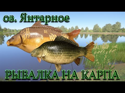 Видео: 🐠Russian Fishing 4 🔴🎮Русская рыбалка 4 - И снова фарм серы озеро янтарное  🎮