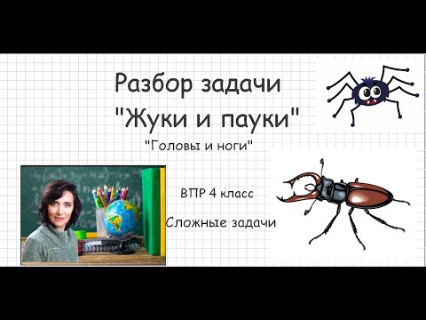 Видео: Задача о жуках и пауках