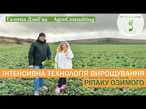 Видео: ЯРОСЛАВ БАЙ: Всі технологічні елементи вирощування ріпаку озимого. Урожайність 4,6 т/га