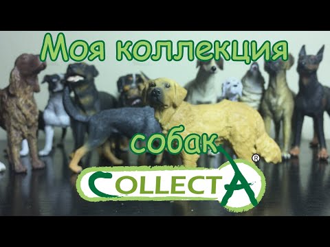 Видео: Collecta dogs/Собаки коллекта ОБЗОР