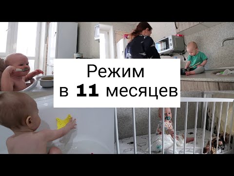 Видео: Режим Малыша в 11 Месяцев по Часам