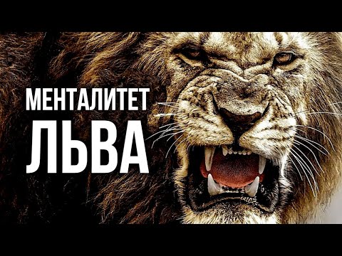 Видео: МЕНТАЛИТЕТ ЛЬВА - Мотивационное Видео Номер 1