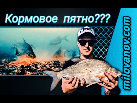 Видео: На сколько точно мы попадаем??? Кормовой стол. Эксперимент.