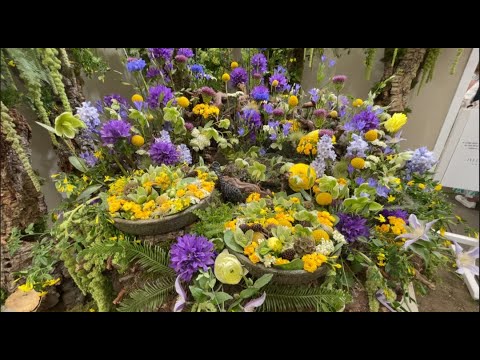 Видео: Выставка Цветов В Челси 2022 Лондон ( 1 часть )- Chelsea Flower Show 2022 London ( 1 part  )