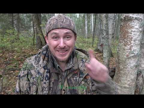 Видео: Охота на рябчика #36 \ Уговорили самочку
