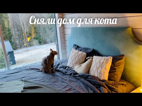 Видео: Аренда барнхауса. Кровать скрипит, ящик отваливается, посудомойка смердит. Но птички поют 🌲🏡🐈