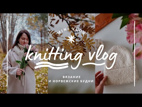 Видео: vlog 41/24 | 🧶 две готовые работы за неделю и моя новая норвежская лопапейса из кашемира 🍁