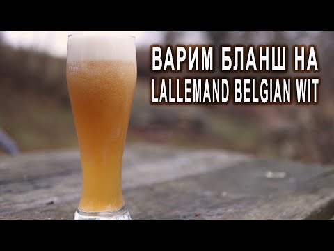 Видео: Варим бланш на Lallemand Belgian Wit