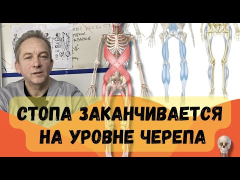 Видео: Стопа заканчивается на уровне черепа, на уровне головы. Плоскостопие. Почему мало ходить плохо?