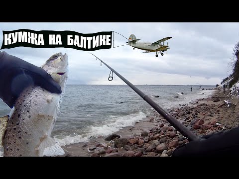 Видео: Ловля кумжи в Балтийском море. Gdynia Orlowo.