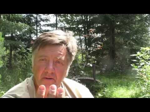 Видео: Оптика Без Формул 00