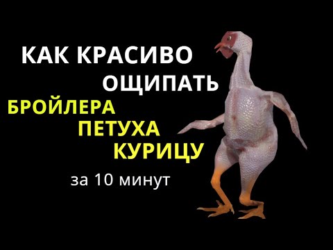 Видео: Как КРАСИВО ОЩИПАТЬ БРОЙЛЕРА / КУРИЦУ / ПЕТУХА за 10 минут. Как ощипать птицу.