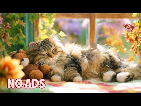 Видео: 12 Часов Успокаивающая Музыка для Кошек 🐾 Кошачье ТВ 🌸 Помощь Глубокому Сну для Нервных Кошек