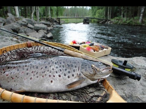 Видео: Татьяна. Магия ловли лосося в Финляндии 2018.