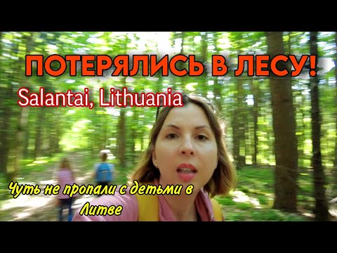Видео: Красивый пешеходный маршрут в Литве - Šilpelkės pažintinis takas