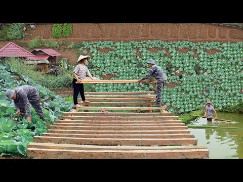 Видео: Как создать идеальное место для кормления рыб, построить огород и ухаживать за ним | Живи с природой