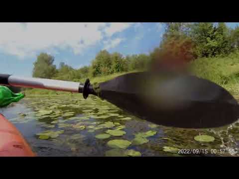 Видео: Сплав по реке Юхоть от Большого села до деревни Борок. 13-14 июля 2024 г.