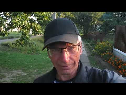 Видео: 198-я, дорога вокруг Беловежской пущи