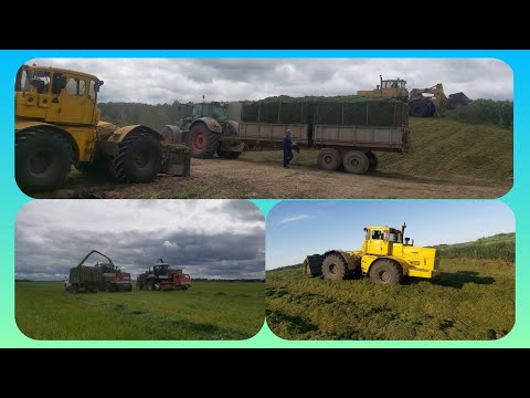 Видео: Укладка сенажной массы в курган