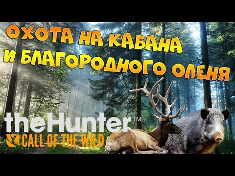 Видео: theHunter Call of the Wild #4 - Охота на кабана и благородного оленя