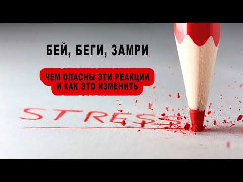 Видео: Бей, беги, замри – чем они опасны такие реакции и как это изменить