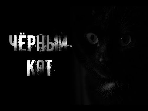 Видео: ЧЁРНЫЙ КОТ... Страшные истории на ночь.