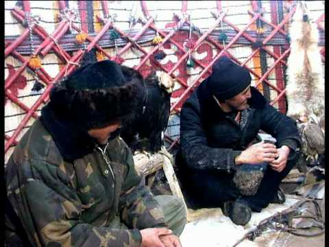 Видео: Кыргыз тайганы / Kyrgyz Taigan - 2/2