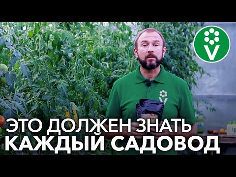 Видео: НЕ ИСПОЛЬЗУЙТЕ ЖЕЛЕЗНЫЙ КУПОРОС, пока не узнаете это важное правило!