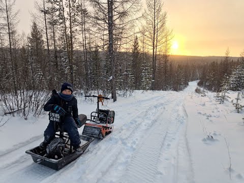 Видео: С сыном на мотособаке Белке до зимовья