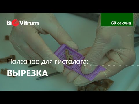 Видео: Вырезка: основные правила