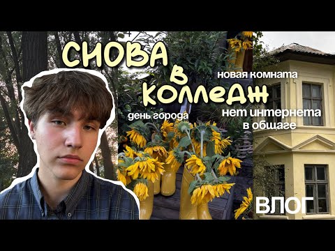Видео: СНОВА В КОЛЛЕДЖ (2 недели без интернета) 🥲