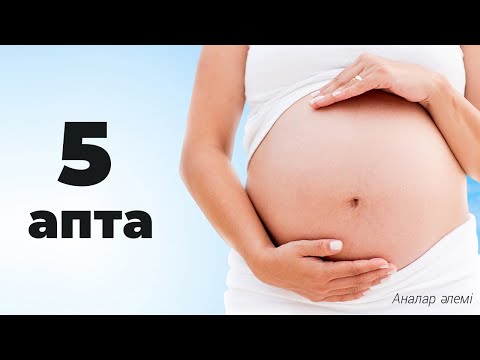 Видео: 5 неделя беременности: чувства, признаки, советы [мир Мамы]