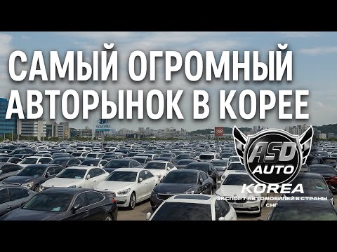 Видео: САМЫЙ ОГРОМНЫЙ АВТОРЫНОК В ЮЖНОЙ КОРЕЕ!🇰🇷