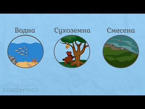 Видео: Организмите – част от природата - Човекът и природата 3 клас | academico