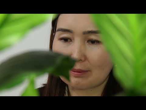 Видео: "Жыл мугалими 2025" Керимбекова Мээрим Бактыбековна