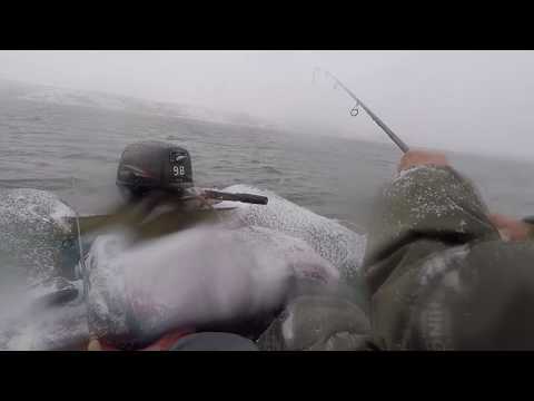 Видео: Рыбалка на судака. Ирикла 04.11.2017 г. Трудовой судак!!!