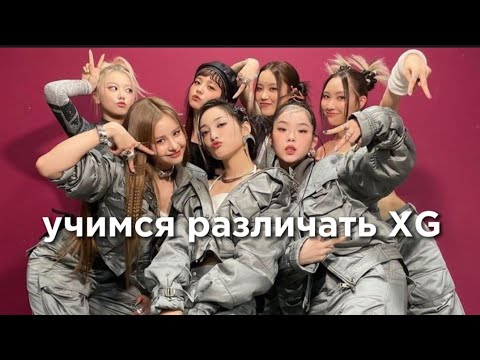 Видео: учим группу XG/учимся различать группу XG | vetmifi