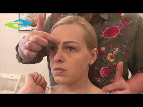 Видео: Фрагмент учебного фильма "Мышцы, связки, крепления". Блок 1, тема 3.