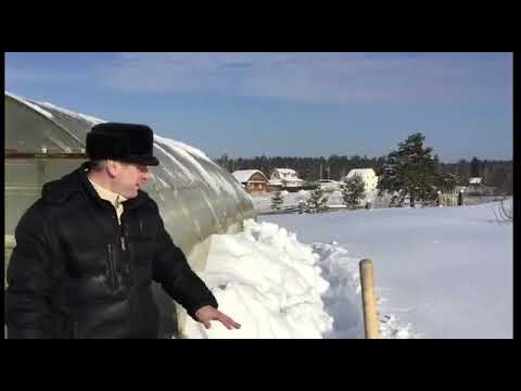 Видео: Зимовка пчёл в теплице часть 2