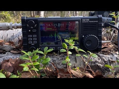 Видео: Xiegu x6100 QRP связь из леса…